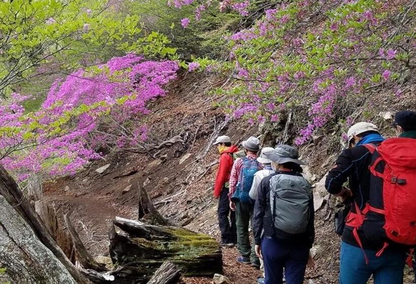 بنسيون Okunikko Guesthouse Jun