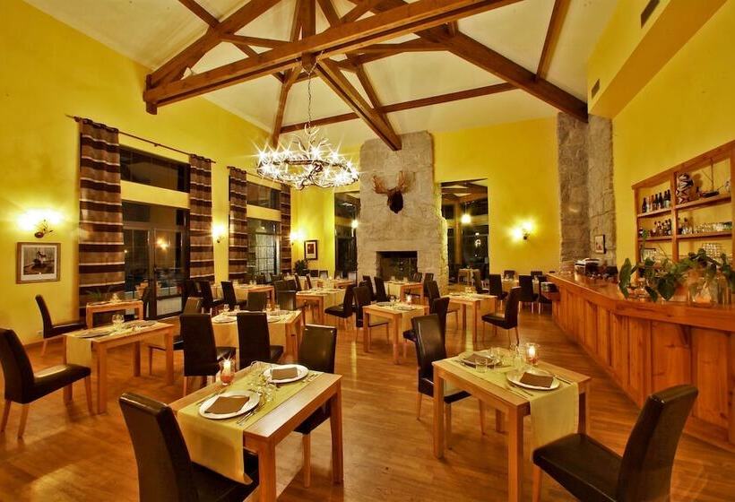 Albirondack Park Camping Lodge And Spa