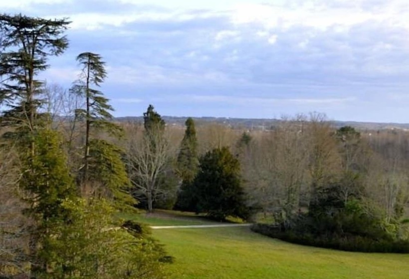 住宿加早餐  Château La Thuilière