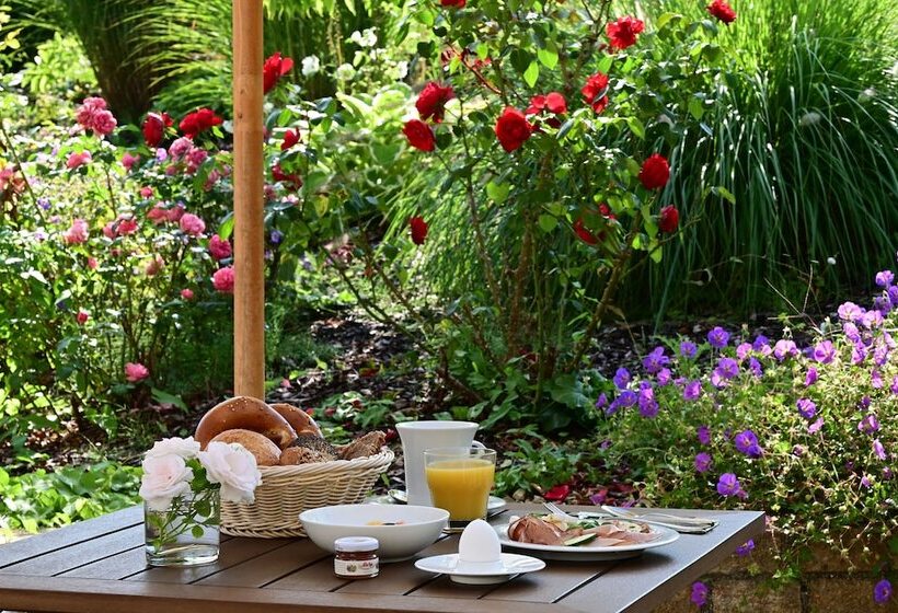 هتل Dreiflüssehof