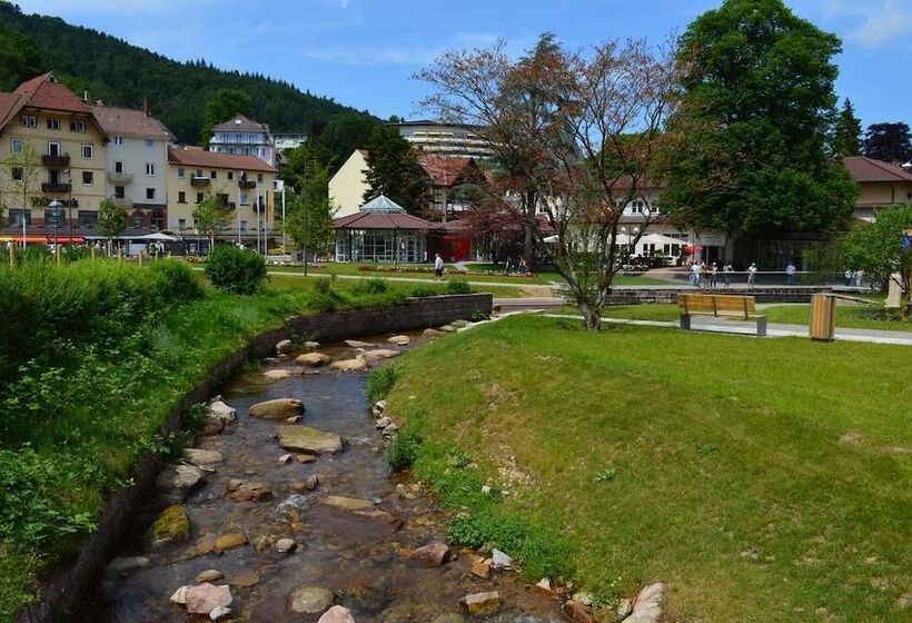 Nashira Kurpark Hotel  100 Prozent Barrierefrei