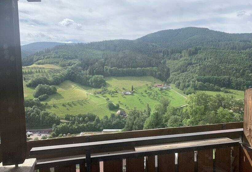 هتل Schauinsland