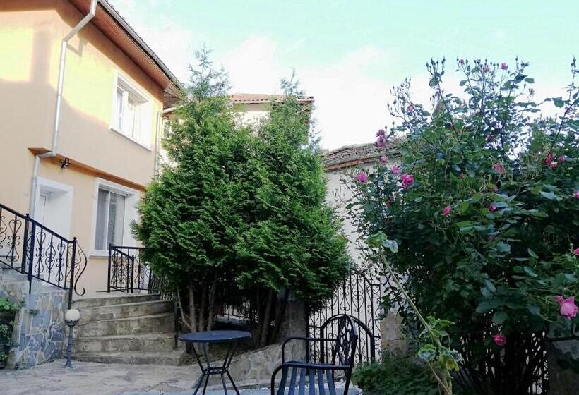 Fotos del hotel Tarnava - Oldtown House:  16