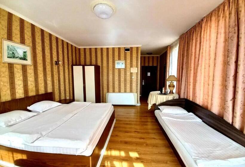 Fotos del hotel Tarnava - Oldtown House:  45