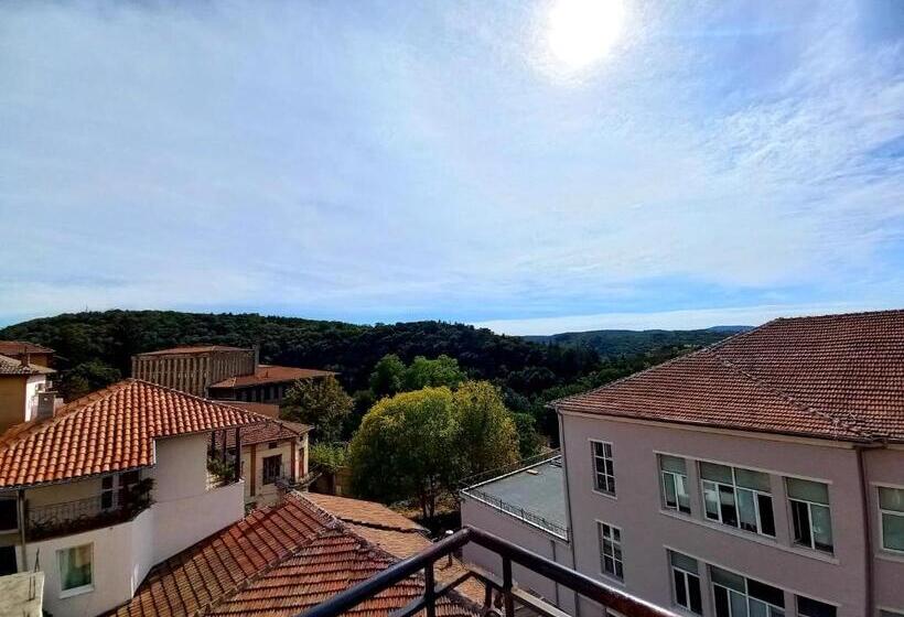 Fotos del hotel Tarnava - Oldtown House:  48