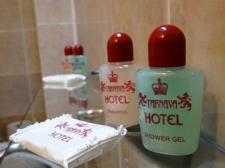 Fotos del hotel Tarnava - Oldtown House:  3