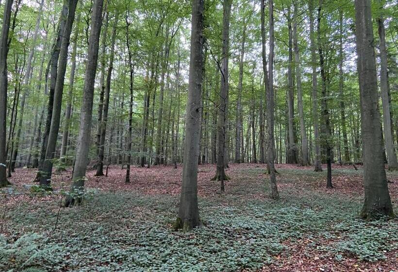 فندق على الطريق K 357   Low Budget Hotel   Ostsee Lounge   In Ratekau Bei Lübeck