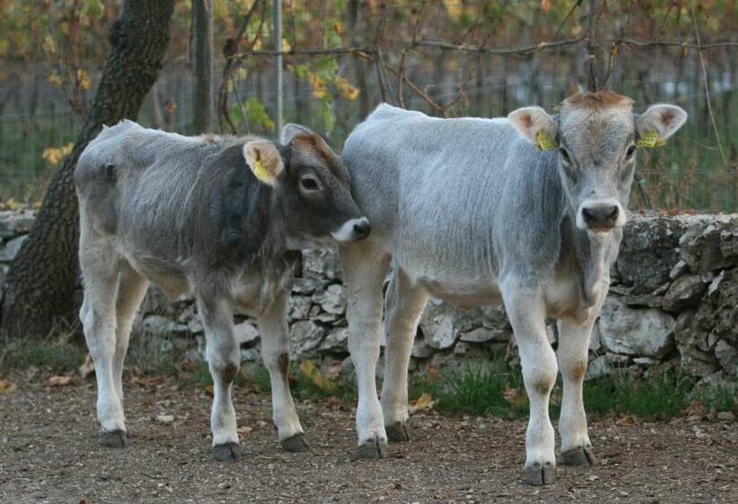 فندق Agriturismo Amicizia