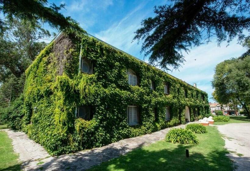 Otel Apartur Mar Del Plata