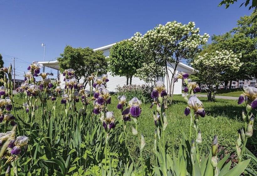 Motel Au Vieux Piloteux