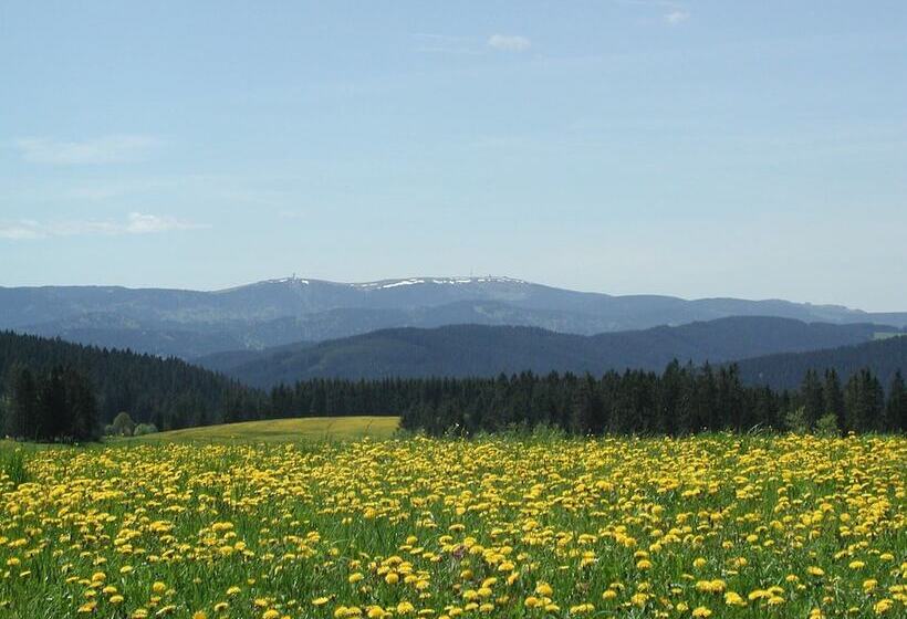 Bed and Breakfast Café Pension Feldbergblick