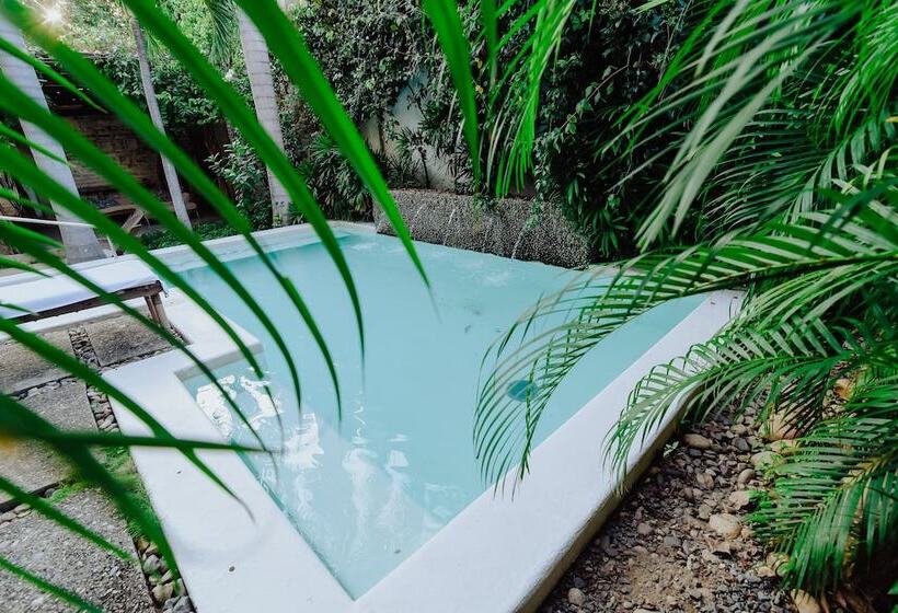 Boutique Casa Rosalía