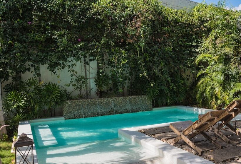 Boutique Casa Rosalía