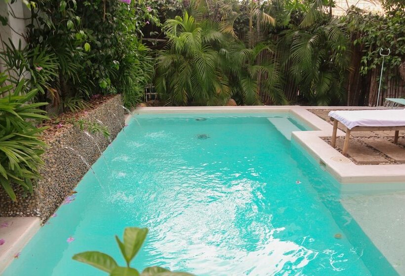 Boutique Casa Rosalía