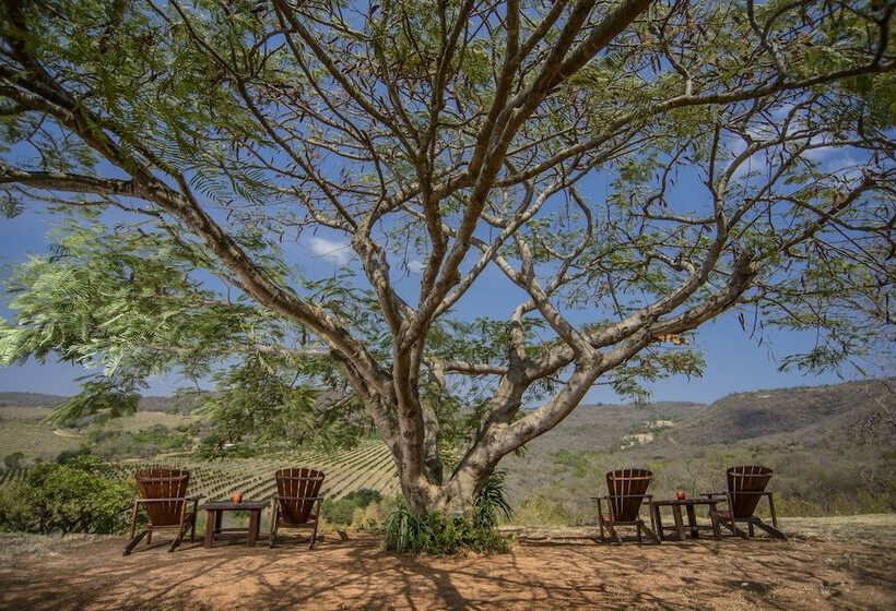 پانسیون Abangane Guest Lodge