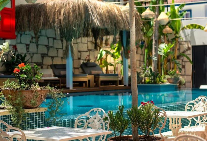 Tnr Otel & Spa