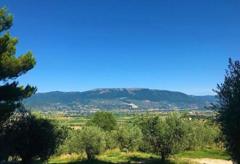 Agriturismo Camiano Piccolo