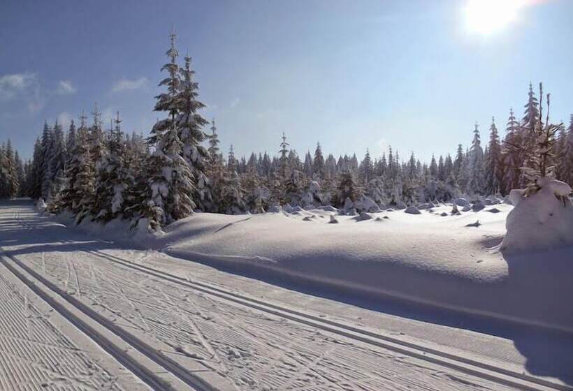 Anna Spa & Wellness Hotel Nejdek