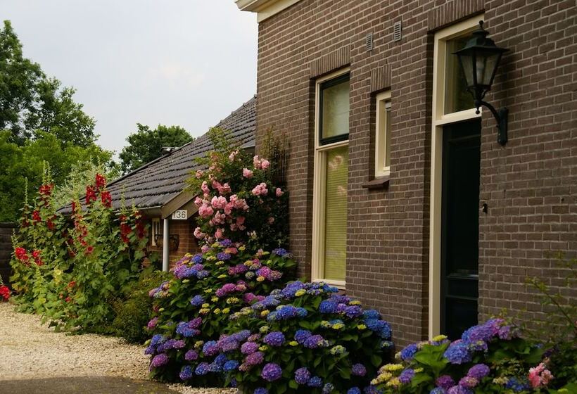 민박 De Heerlijkheid Ruinerwold