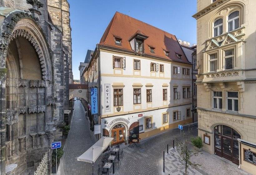 Fotos del hotel Cerny Slon:  23