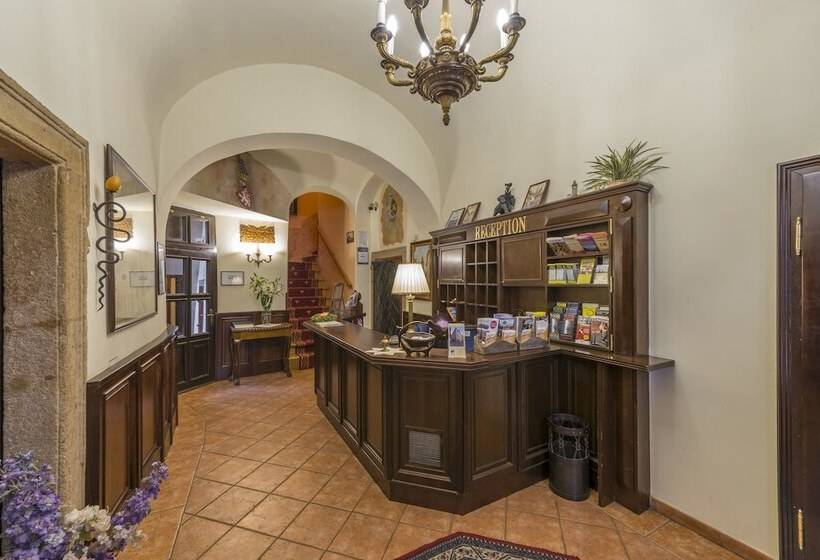 Fotos del hotel Cerny Slon:  19
