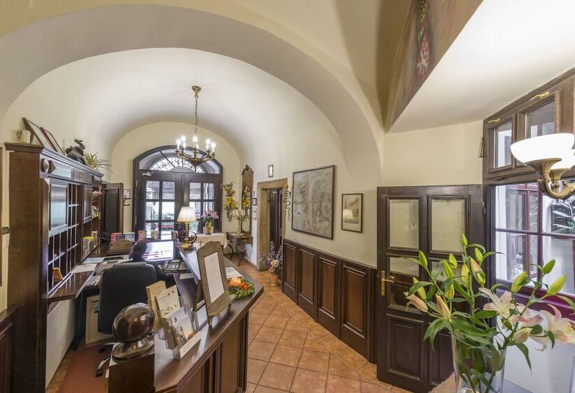 Fotos del hotel Cerny Slon:  18
