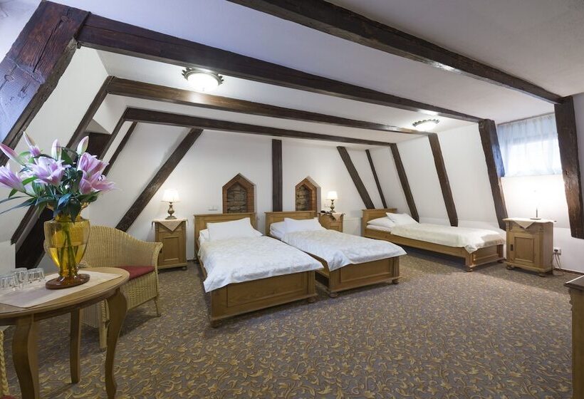 Fotos del hotel Cerny Slon:  29