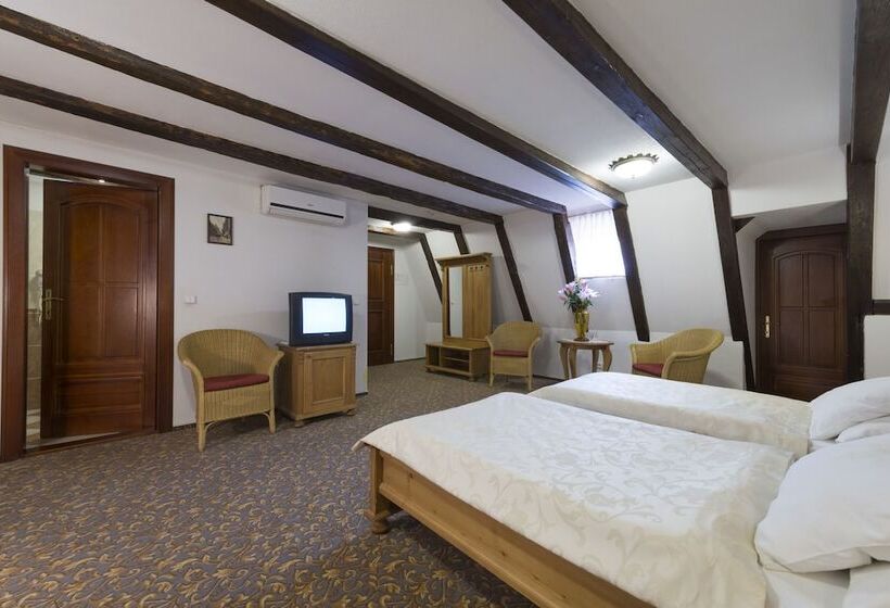 Fotos del hotel Cerny Slon:  8
