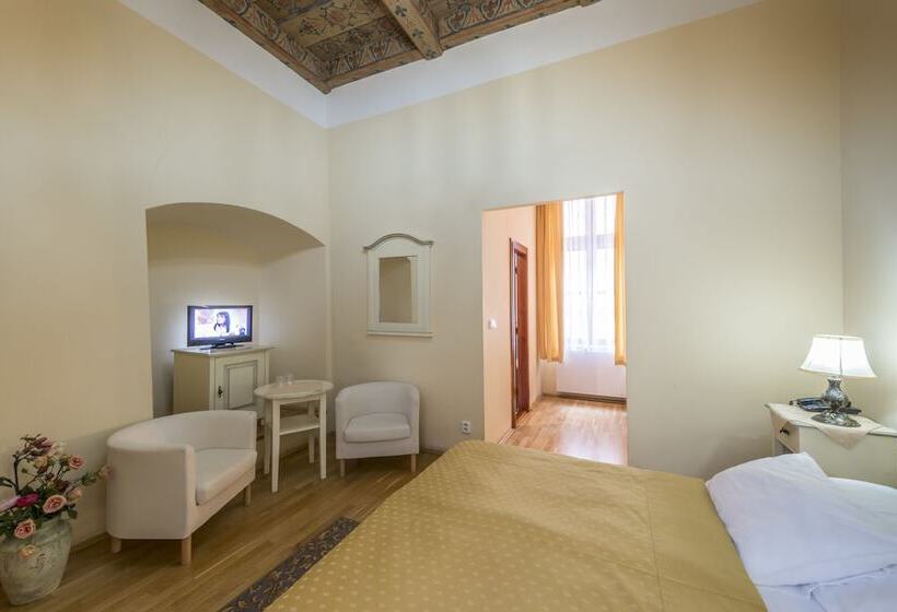 Fotos del hotel Cerny Slon:  25