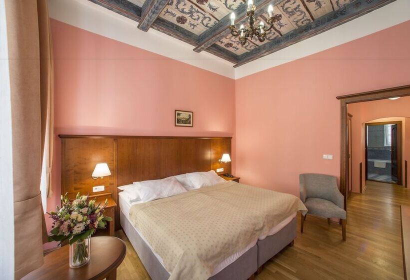 Fotos del hotel Cerny Slon:  11