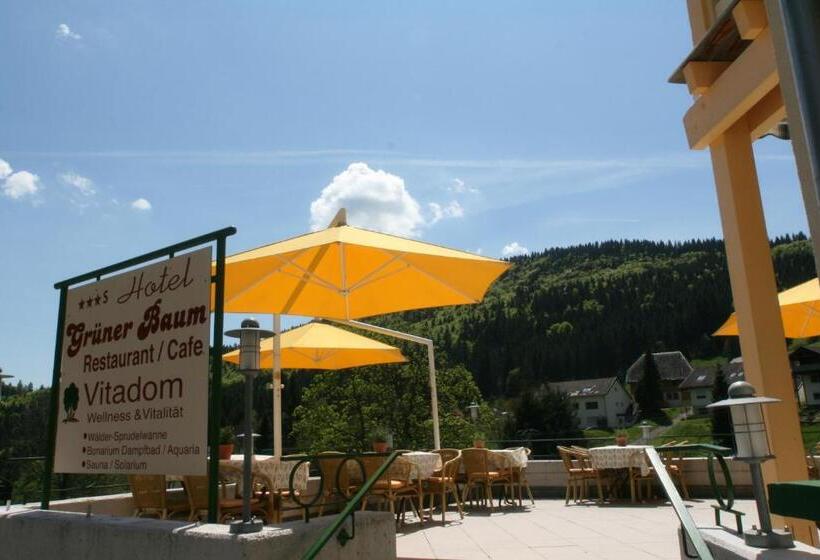 Отель Gruner Baum Naturpark & Schwarzwaldrestaurant