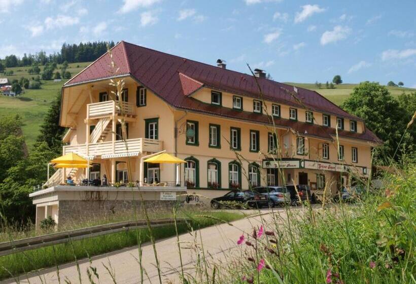 Hotel Gruner Baum Naturpark & Schwarzwaldrestaurant