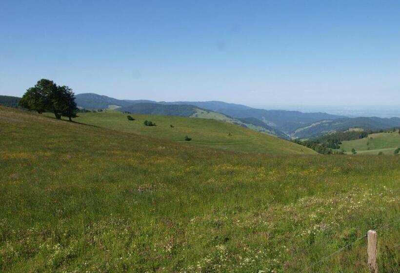 Hotel Gruner Baum Naturpark & Schwarzwaldrestaurant