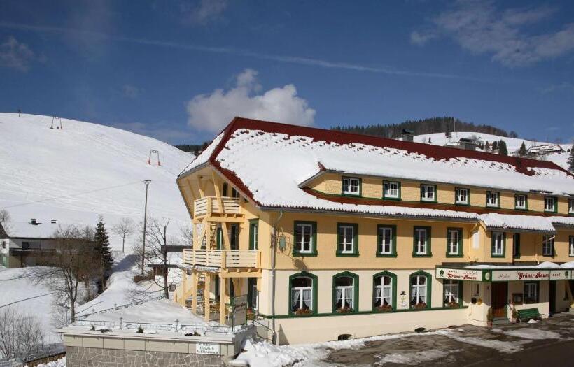 Hotel Gruner Baum Naturpark & Schwarzwaldrestaurant