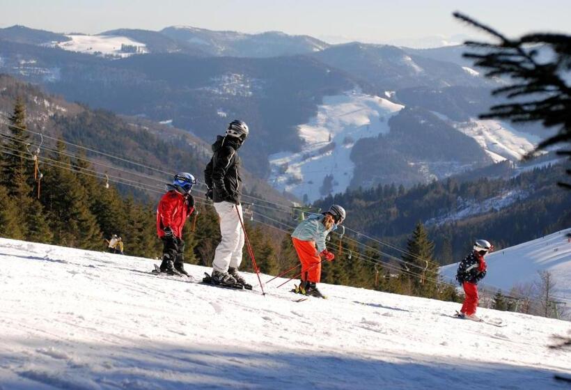 Отель Gruner Baum Naturpark & Schwarzwaldrestaurant