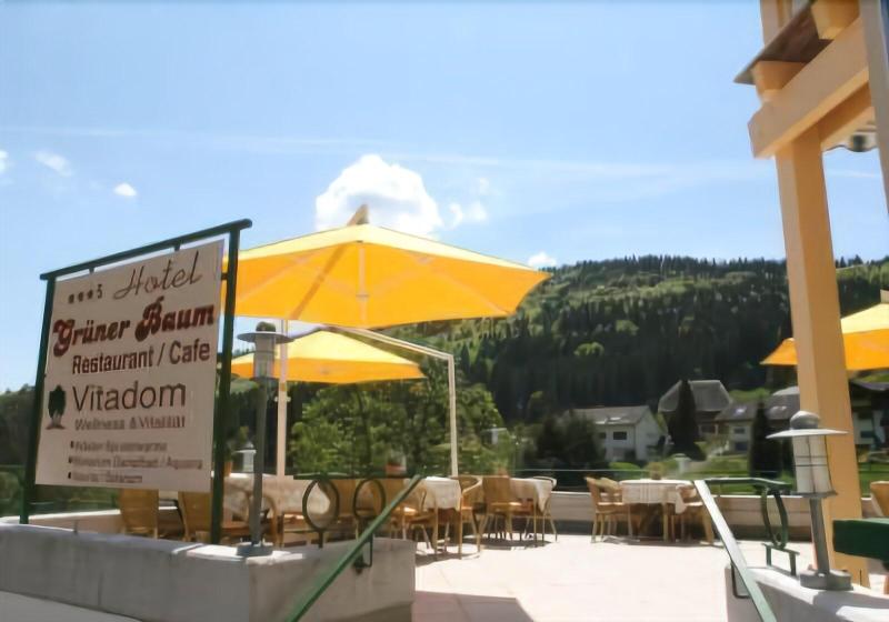 Отель Gruner Baum Naturpark & Schwarzwaldrestaurant