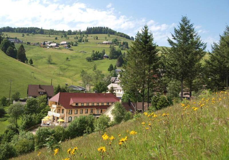 Отель Gruner Baum Naturpark & Schwarzwaldrestaurant