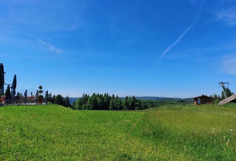 Hotel Ring Garni Pflug