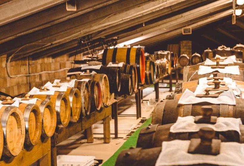 فندق San Pellegrino