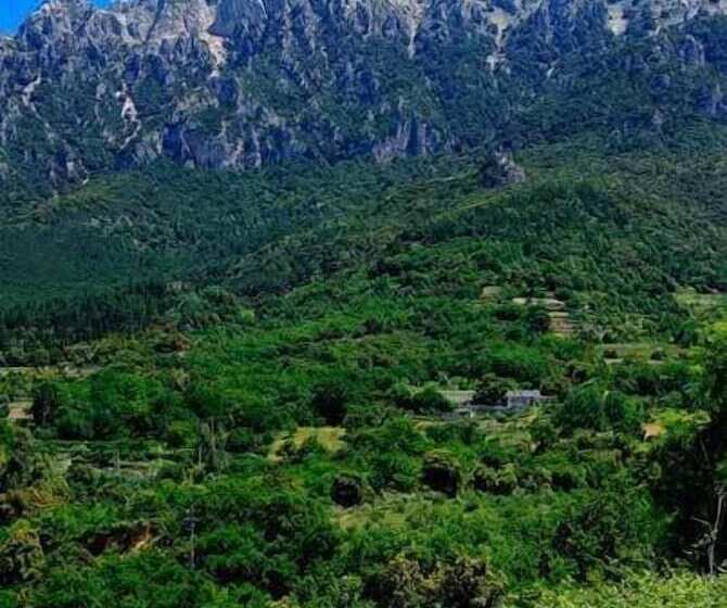هتل S'enis Monte Maccione
