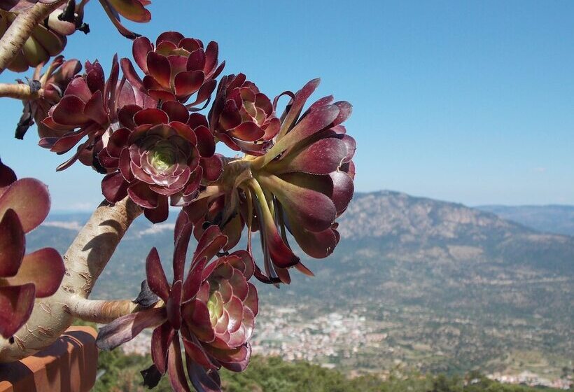 هتل S'enis Monte Maccione