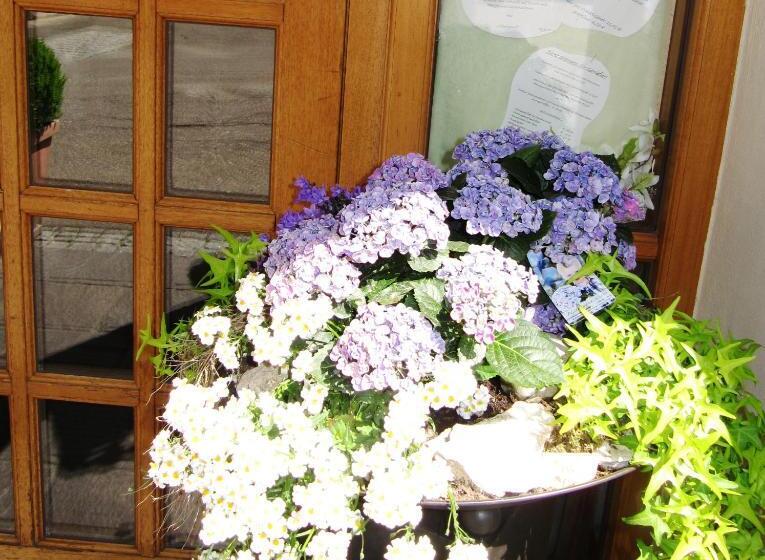 펜션 Gasthof Am Selteltor