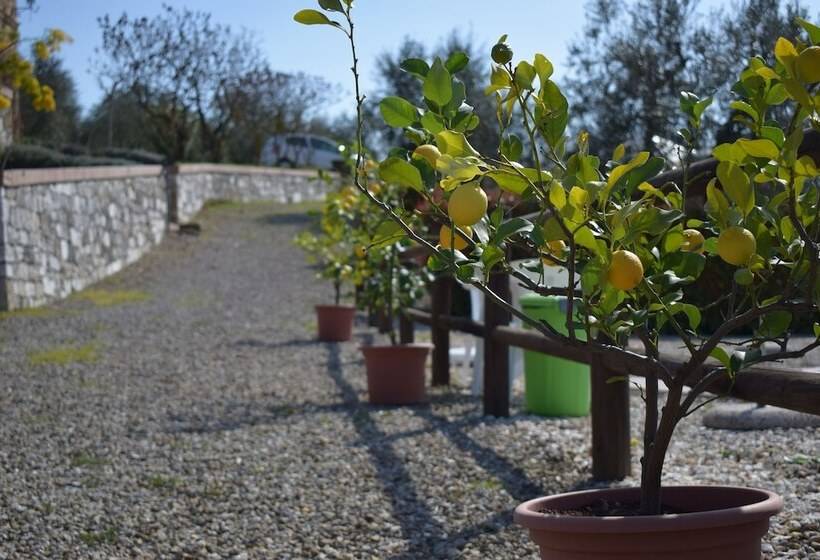 هتل Agriturismo Amina