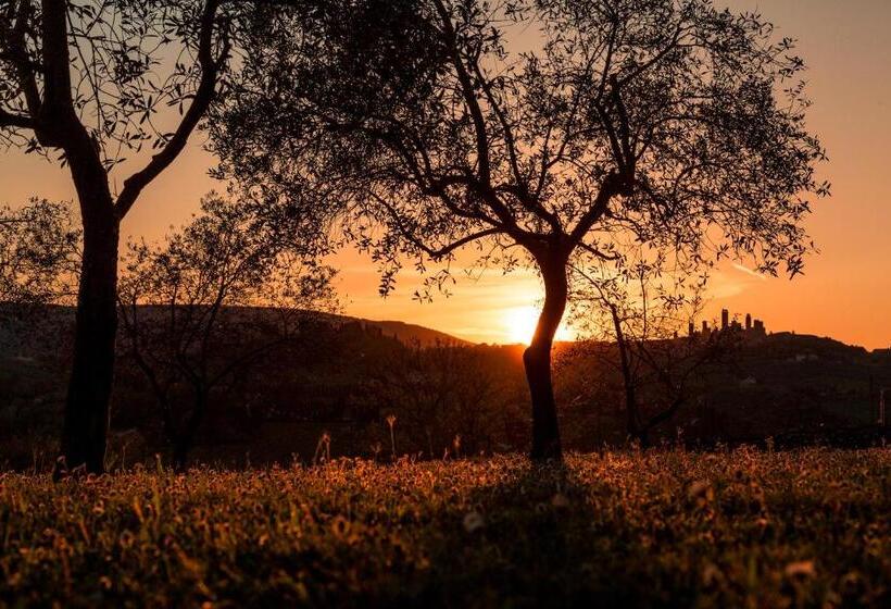 هتل Agriturismo Il Segreto Di Pietrafitta