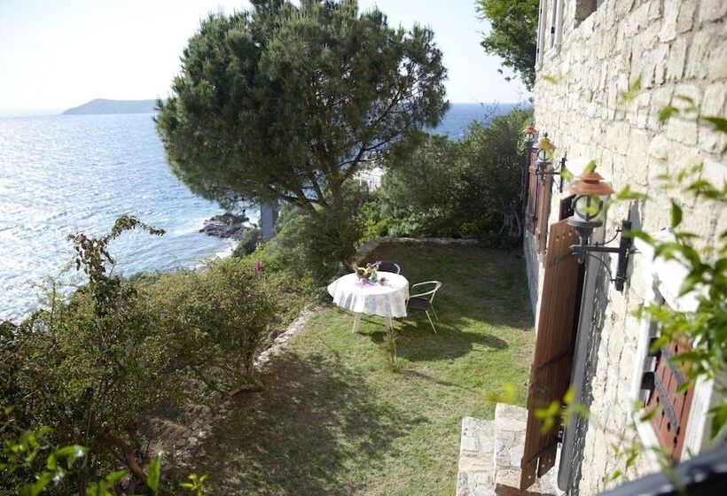 هتل Arion Resort