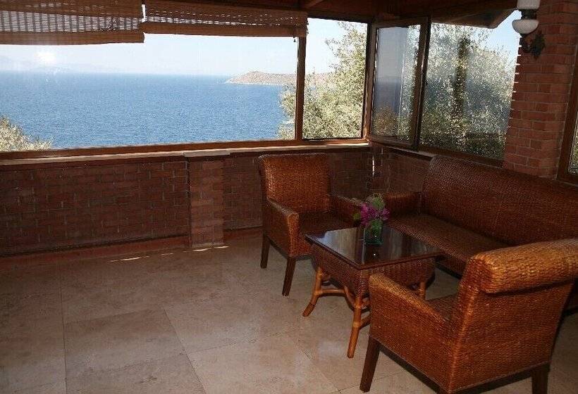 هتل Arion Resort