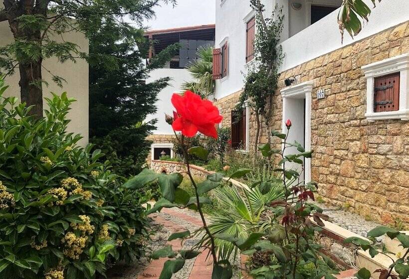 هتل Arion Resort