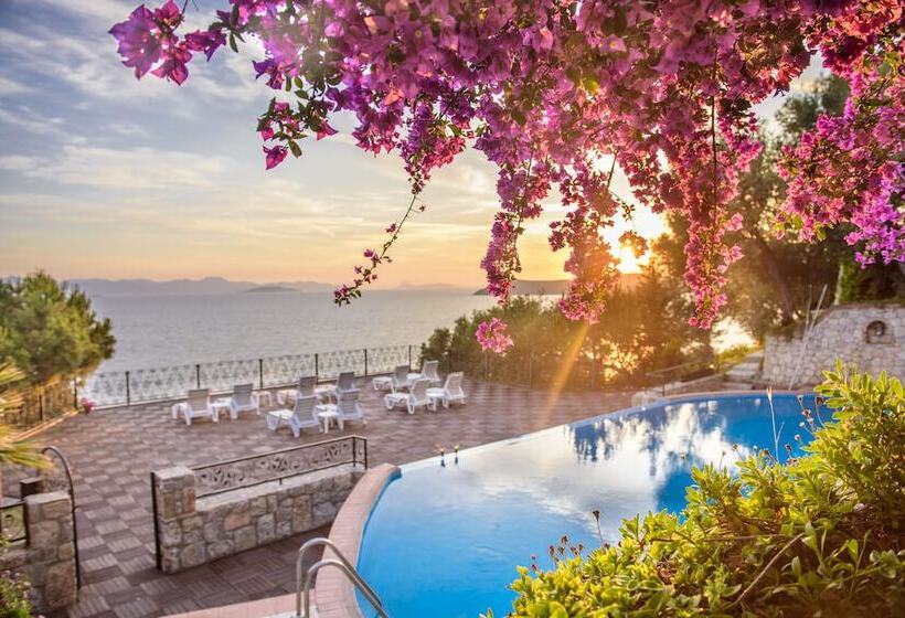 هتل Arion Resort