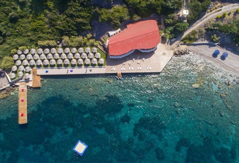 هتل Arion Resort