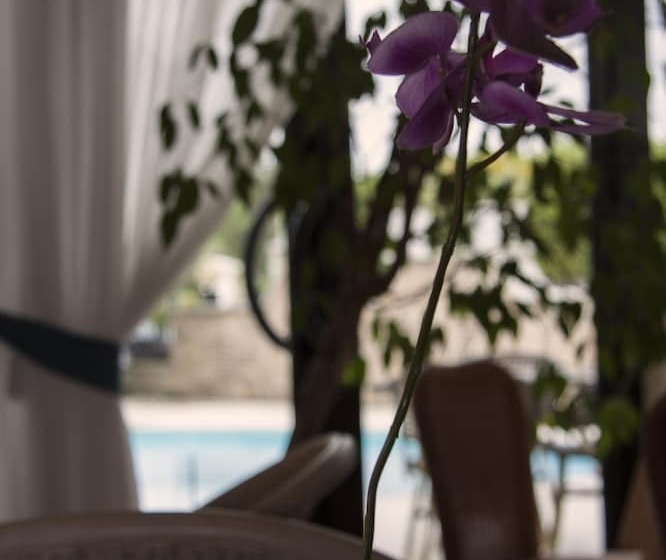 Fotos del hotel Berta:  50